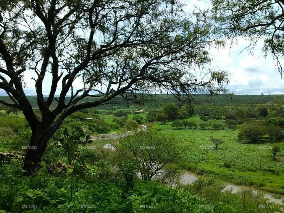 Hun rio ermoso en el campo
