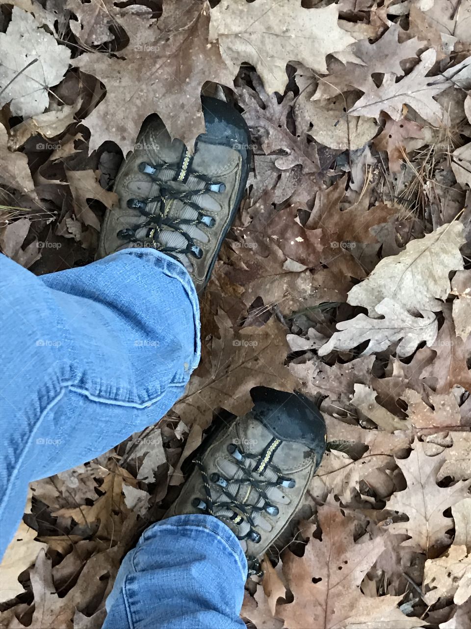 Hiking shoes 