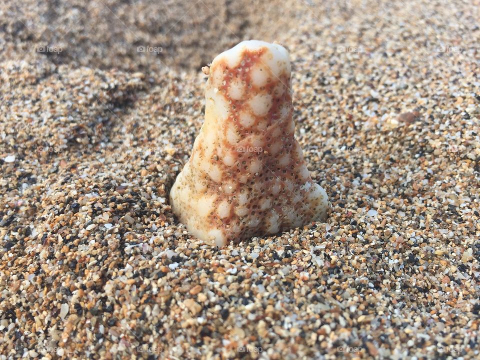 Close up shot of a beach rock 