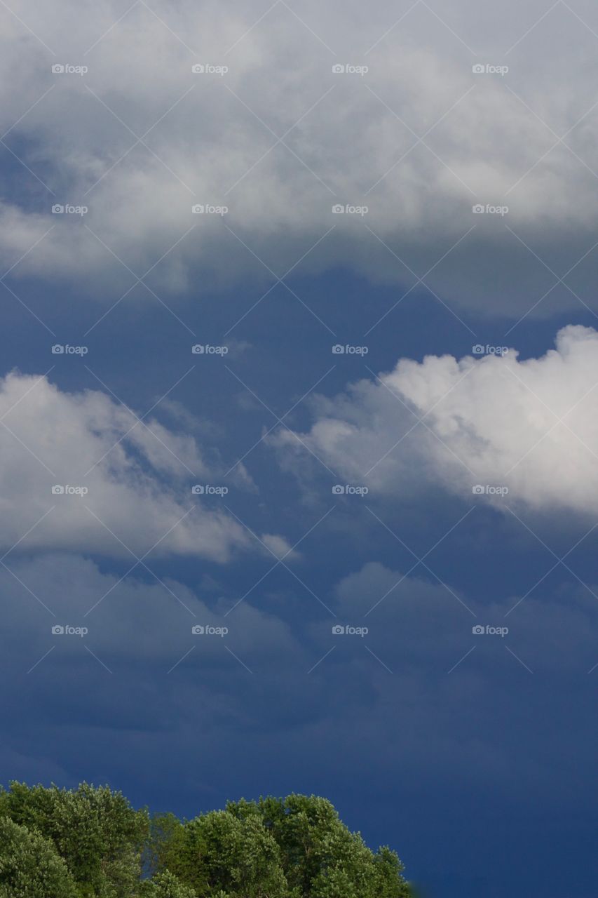 White cumulous clouds and the top of leafy trees against the dark, threatening sky of an approaching storm