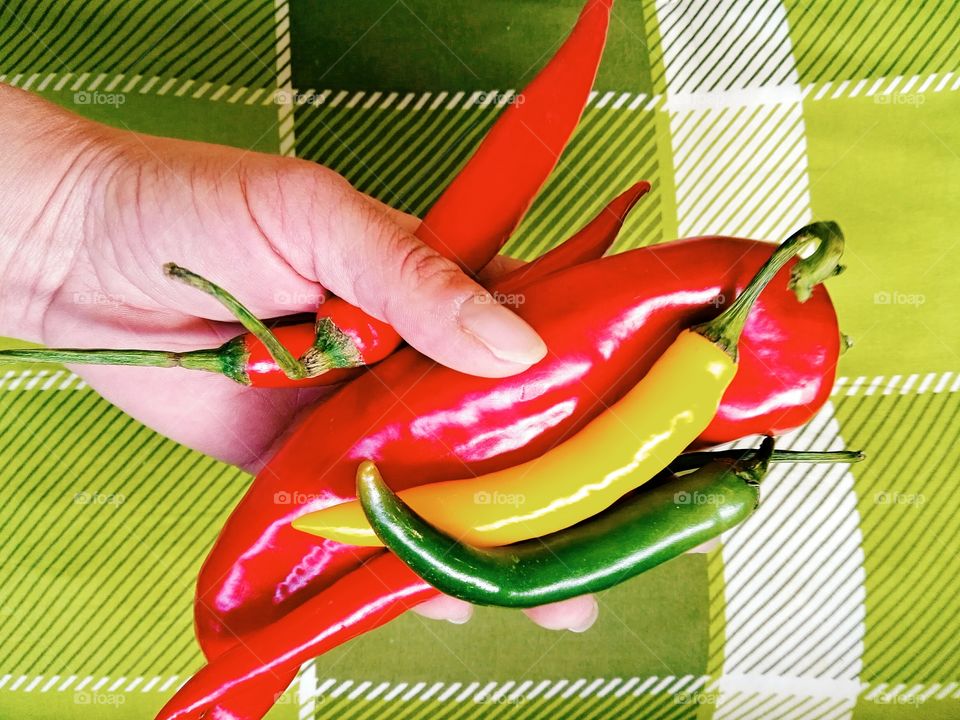 Human hand holding colorful paprika