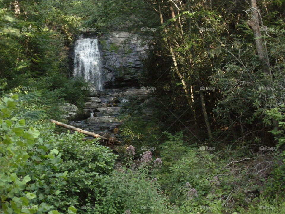 Waterfall visible from the road in the Blue Ridge Mountains.