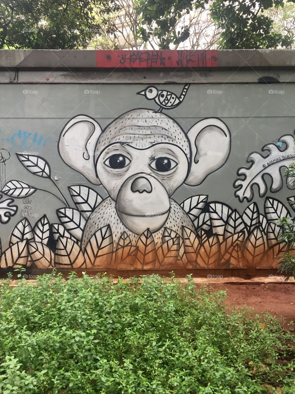 Urban monkey - Centro - São Paulo - Stone Jungle 
