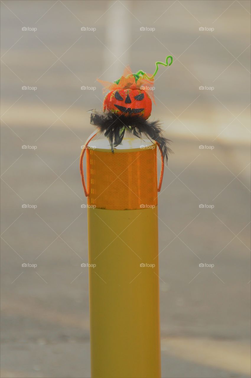 Halloween time to celebrate spookiness