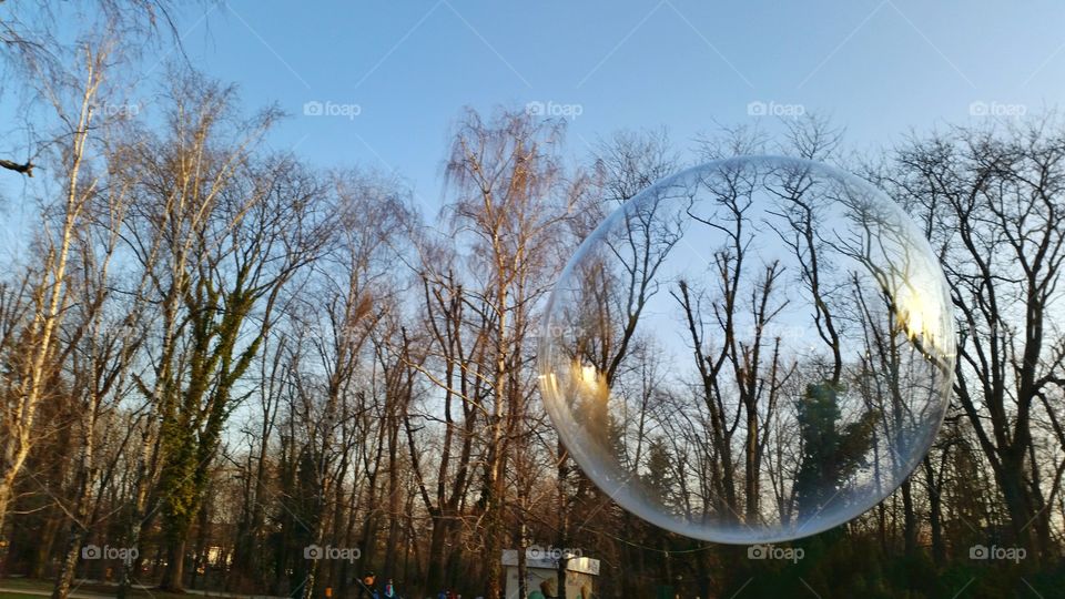 bubble and trees