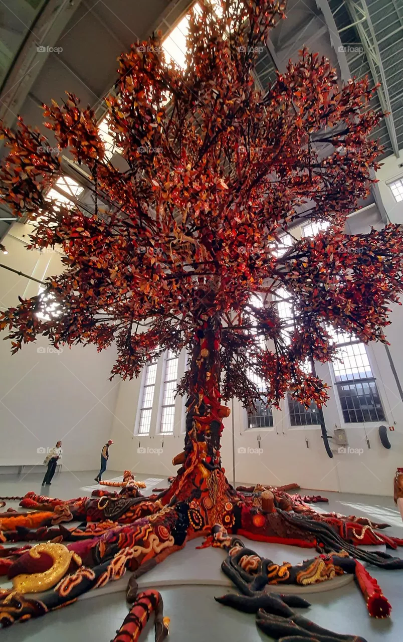 Tree of colour