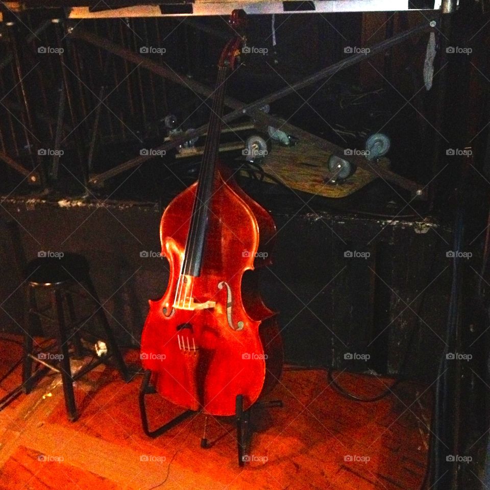 Cello in symphony. Cello/ bass instrument at a symphony