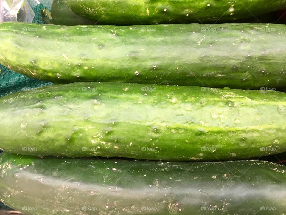 Cucumber