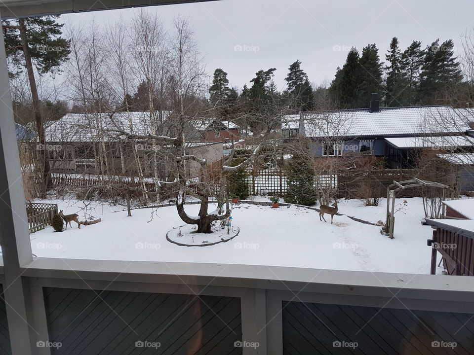 House, Wood, Winter, No Person, Snow