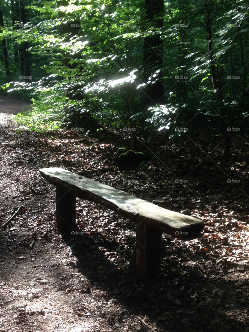 Bench