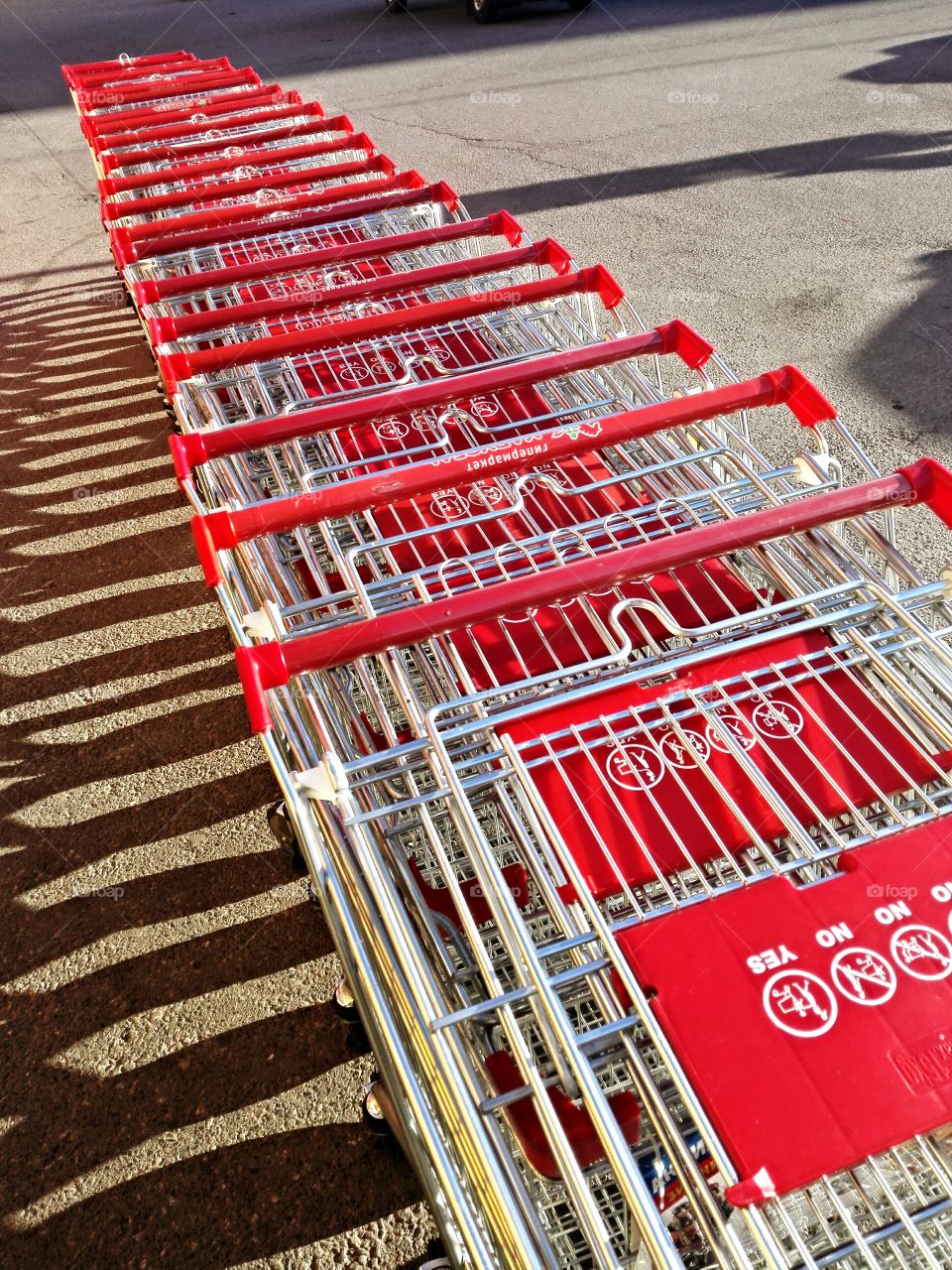 Shopping carts in a row