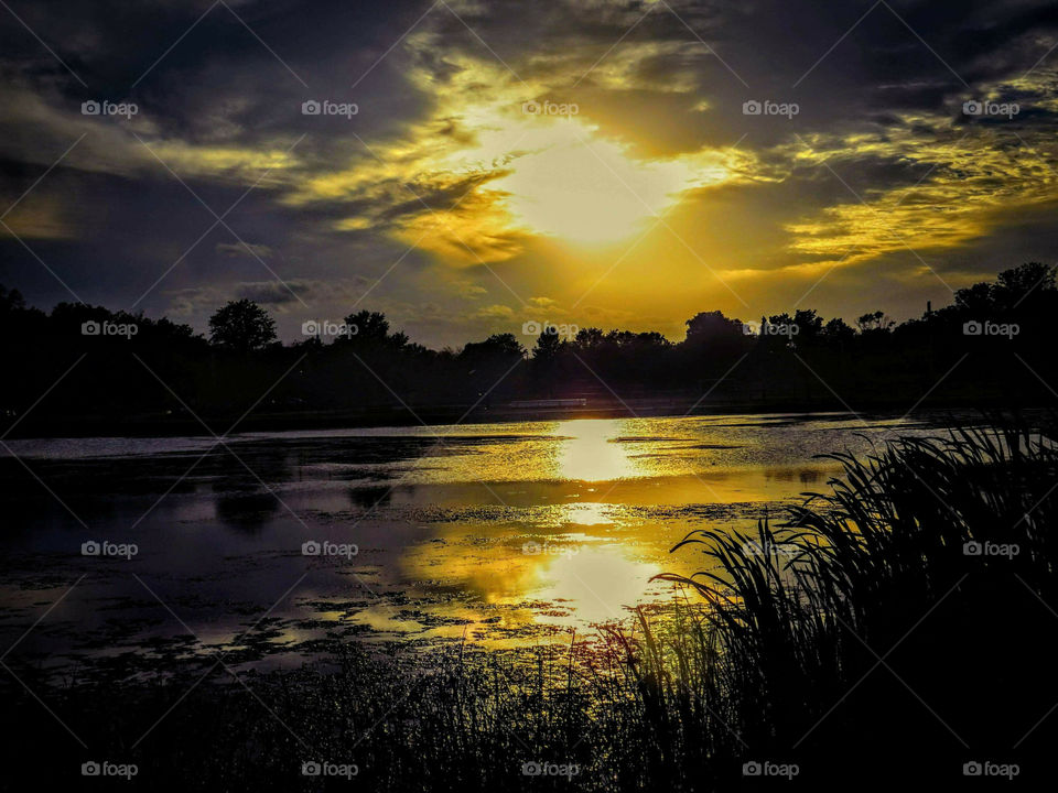 Golden Sunset Reflections Over A Pond In The Evening