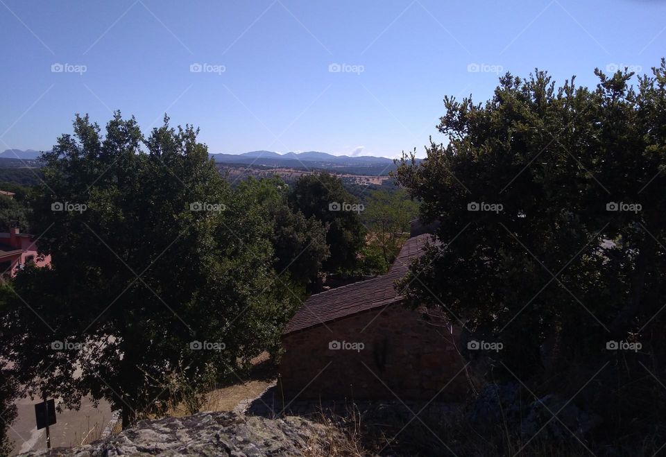 Best of 2021: Nature