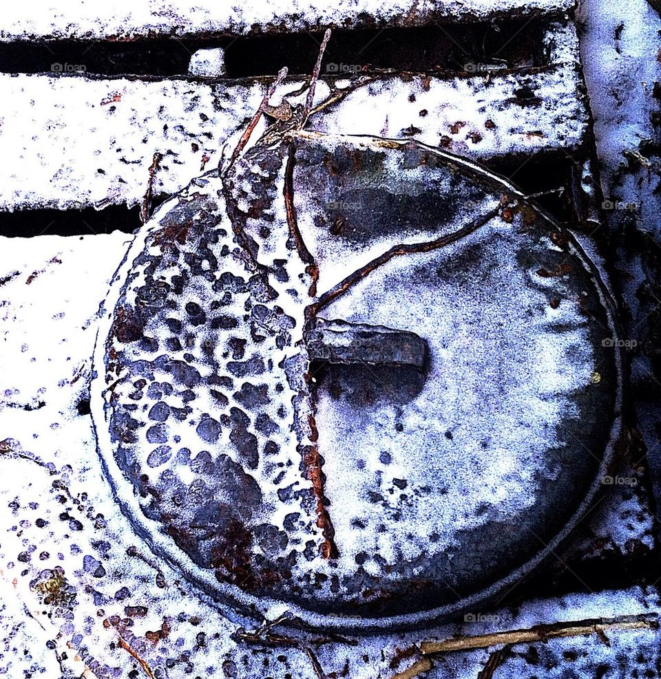 Frozen Trash can lid