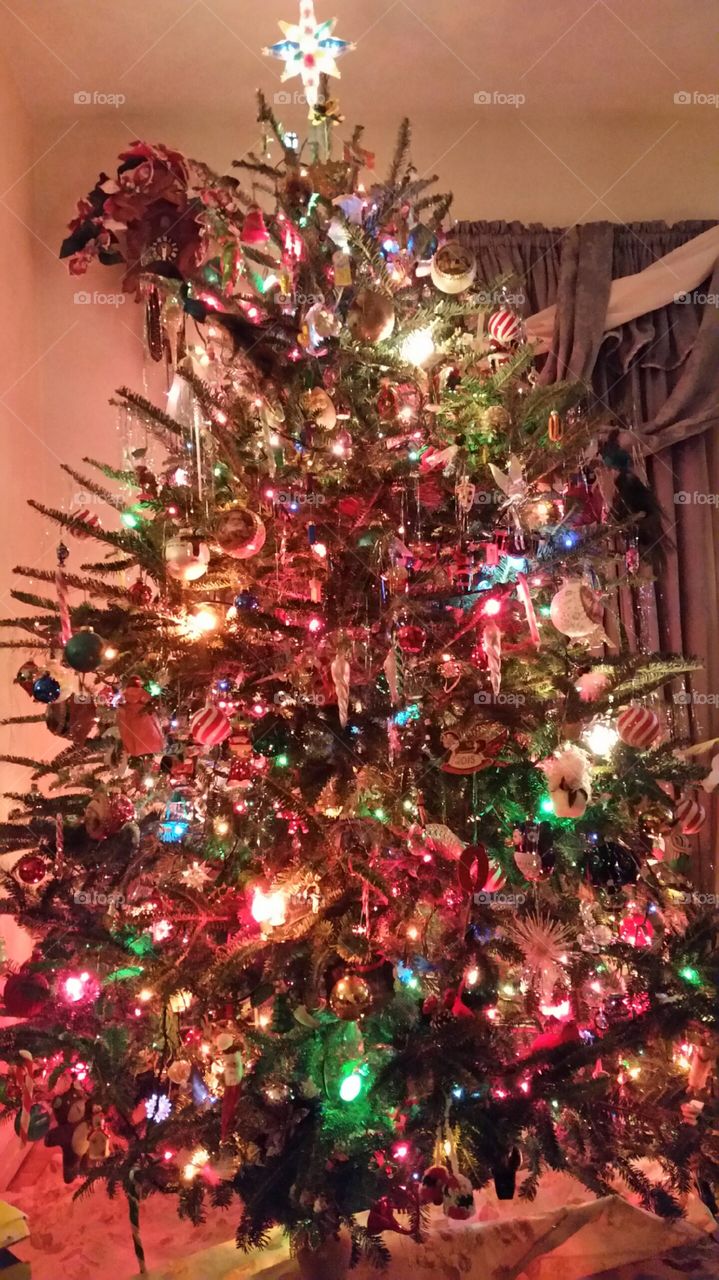 Traditional Christmas Tree