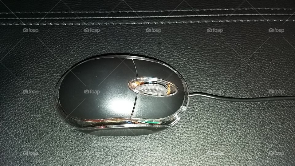 PC Mouse