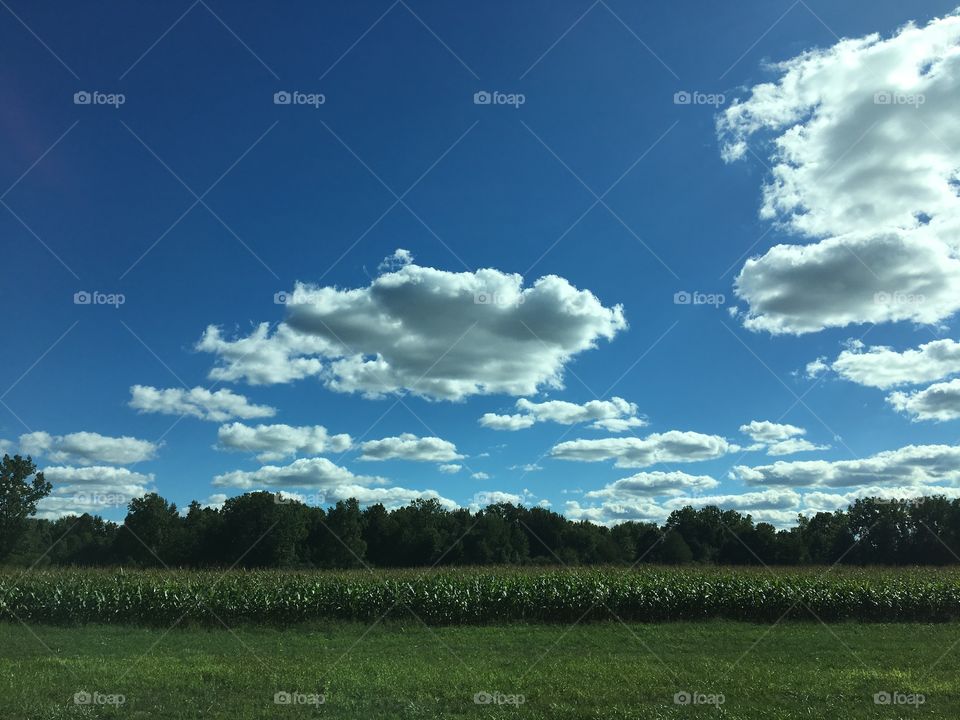 Fluffy clouds