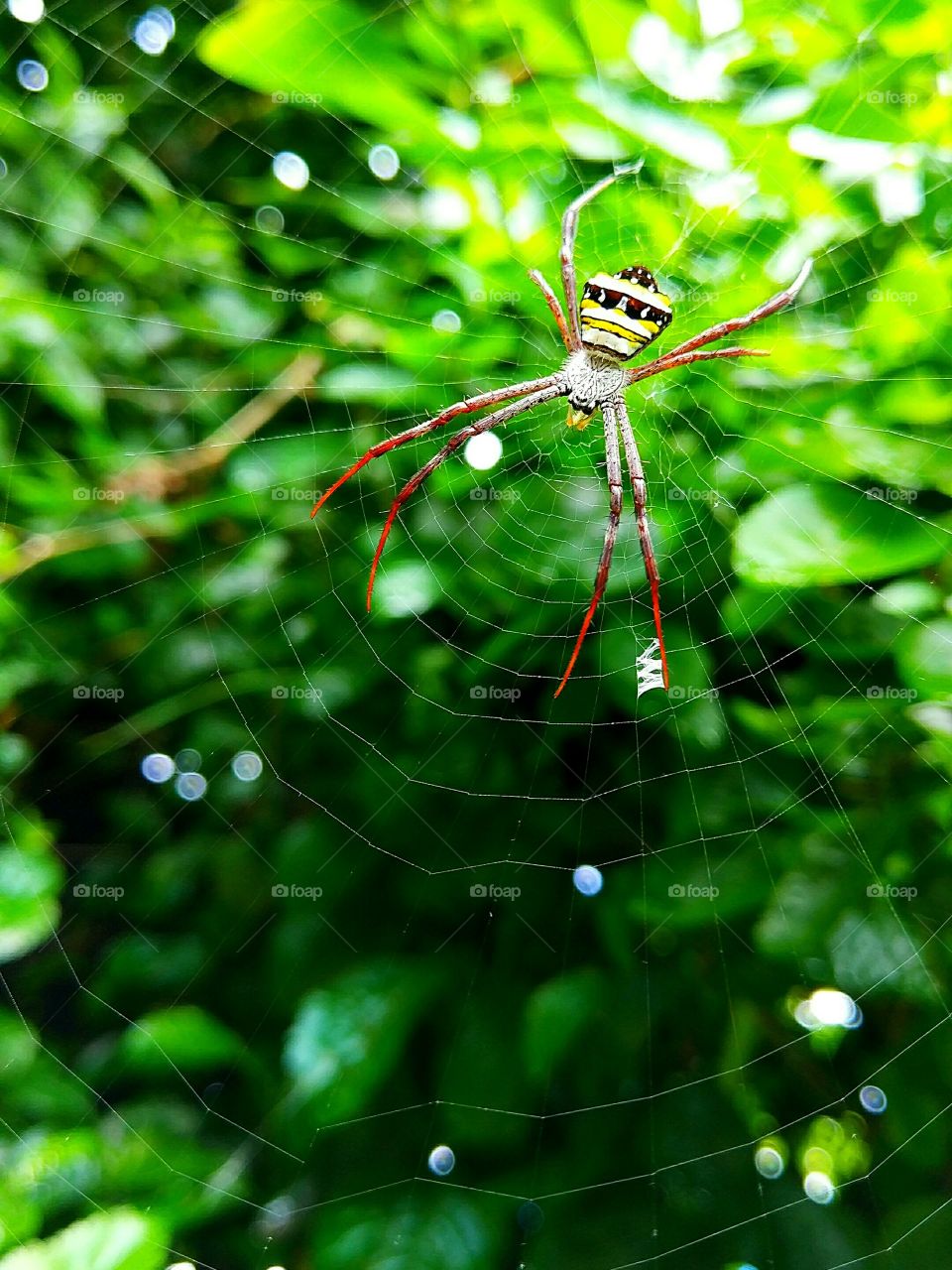 Waiting for bodies!!