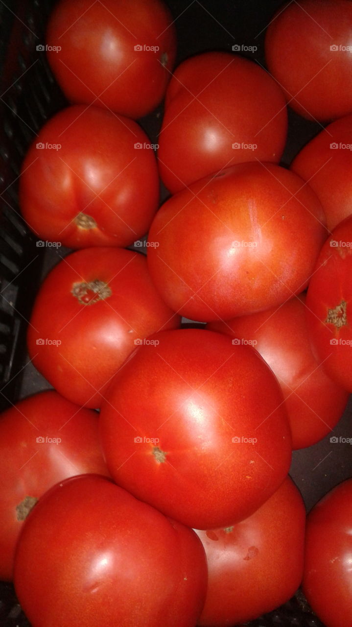 Red Ripe Tomatoes