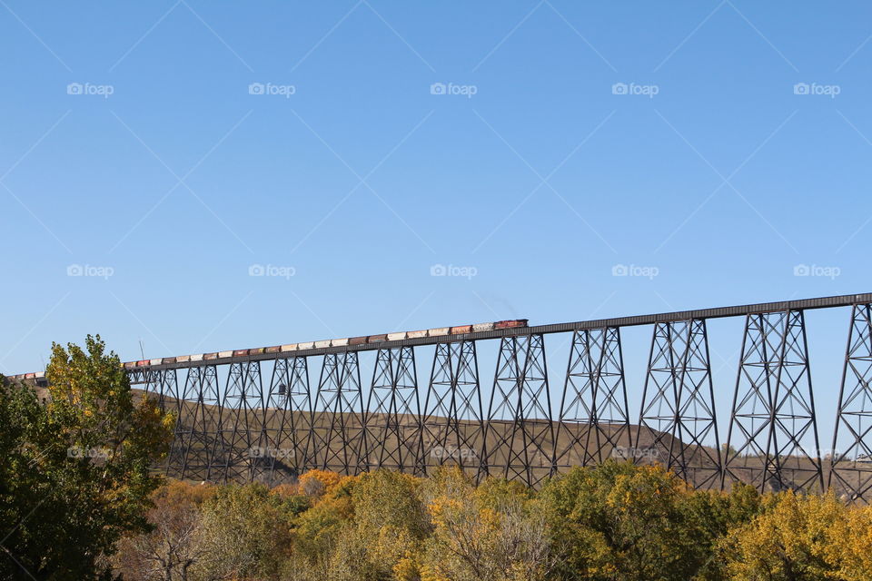 Train going over a high level bridge,  with fall colors trees underneath.