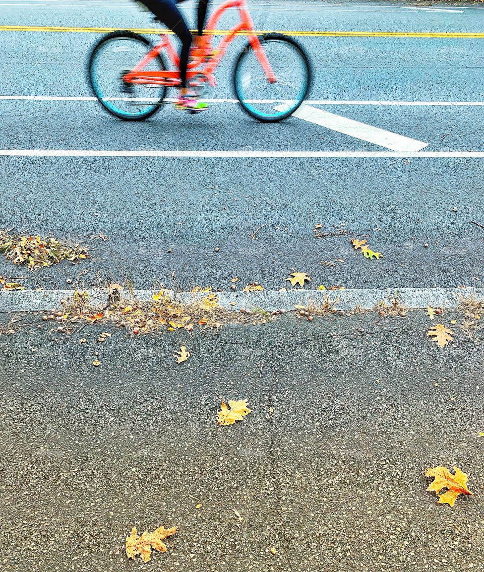 Anonymous Cyclist 
