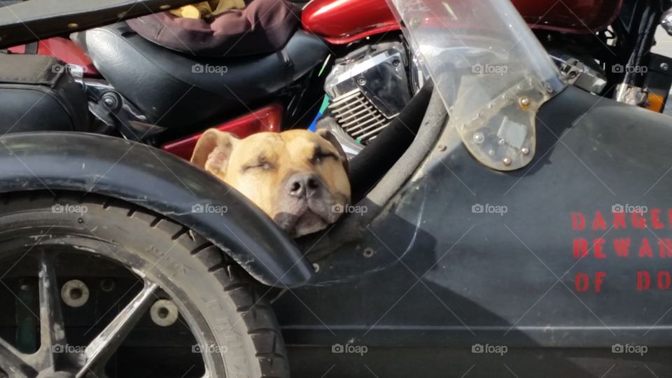 Car, Vehicle, Transportation System, Drive, No Person