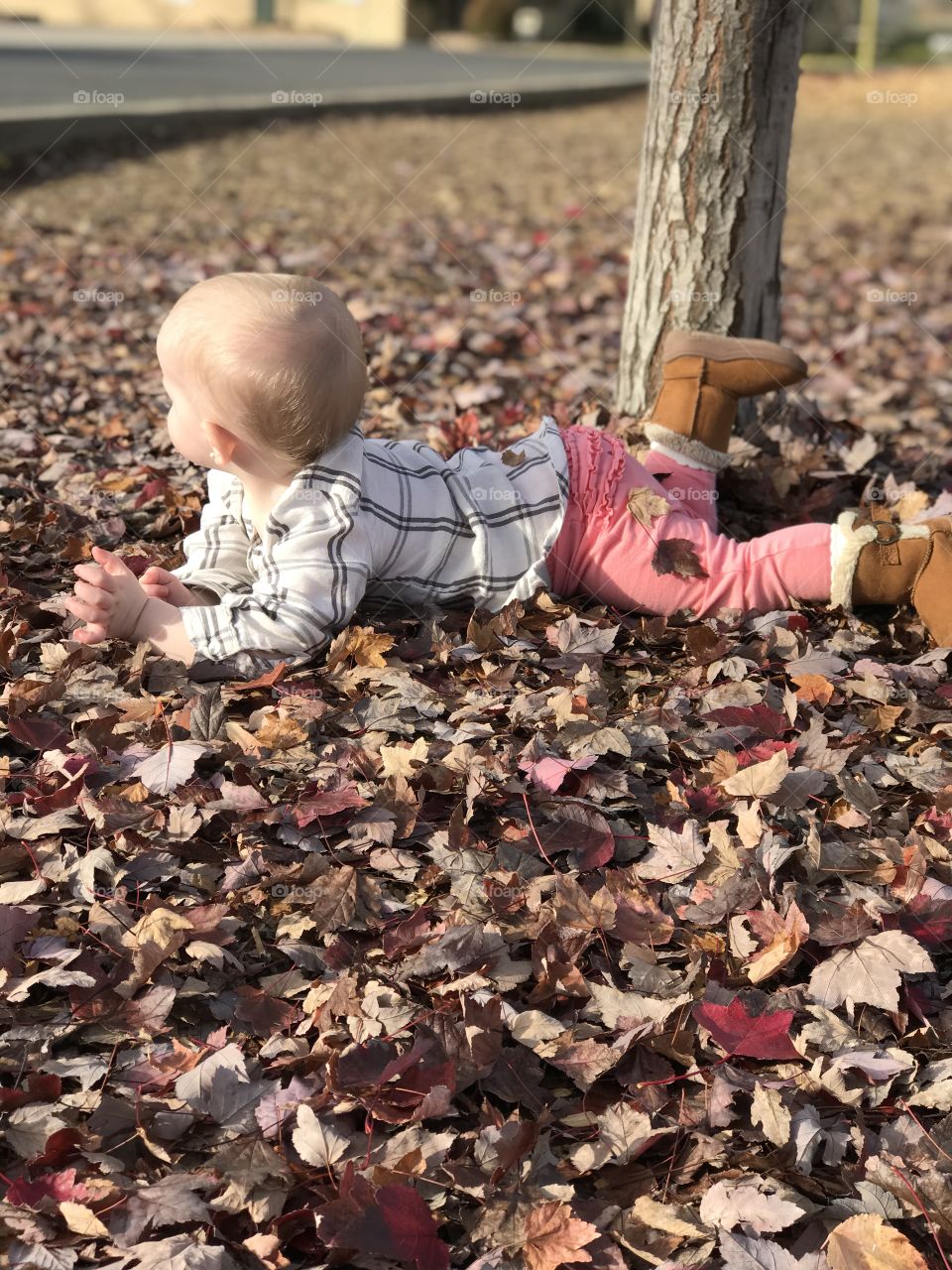 What is an eventful day without exploring some fall leaves? Playful little girl enjoying some fun. 