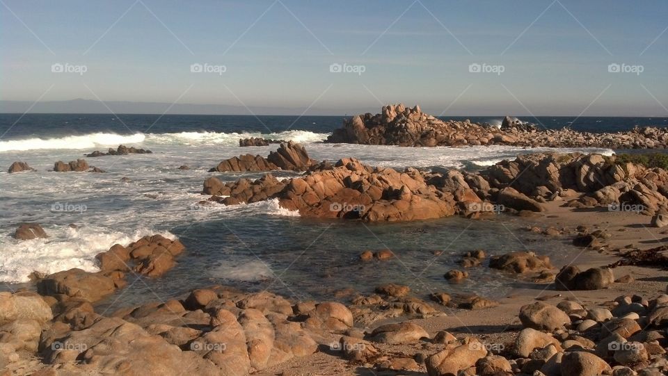 Scenic view of beach