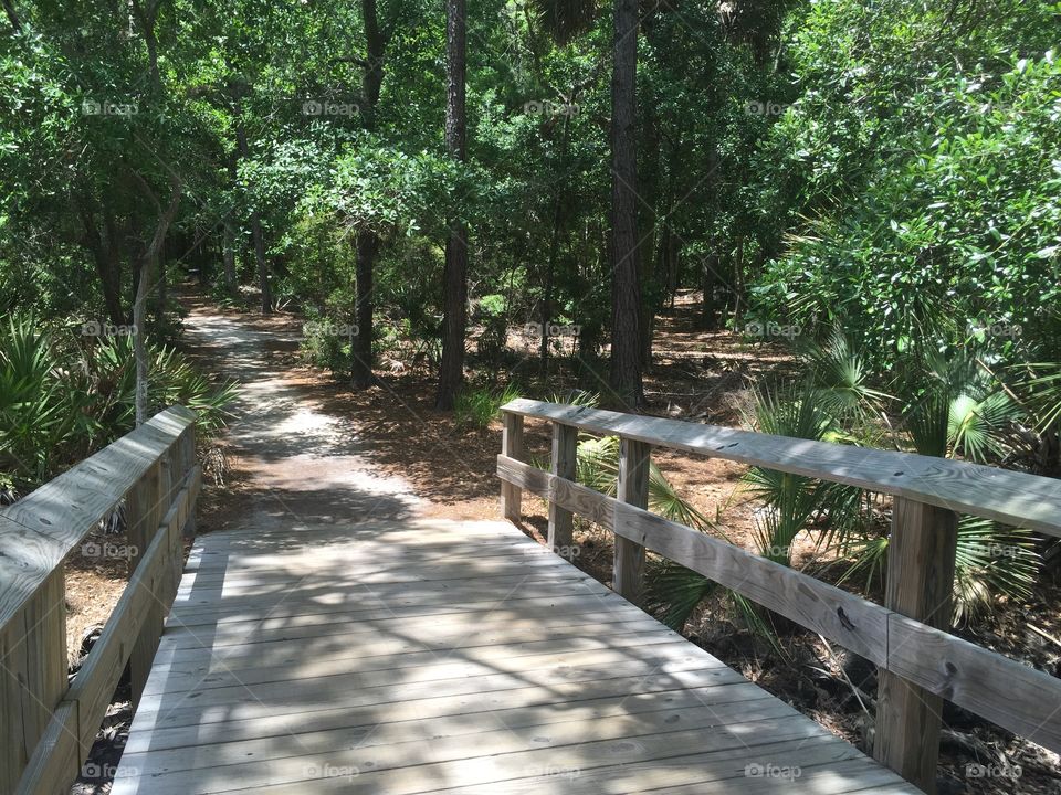 A walking path with wooden bridge, Wormsloe Plantation historic site, Savannah Georgia