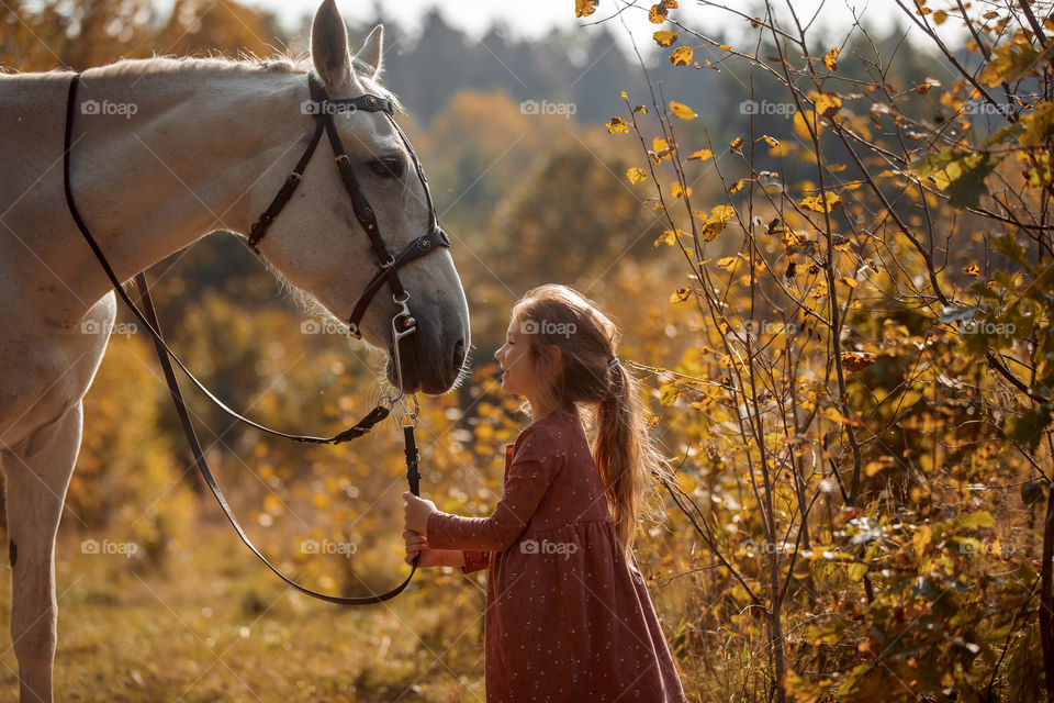 Little girl with grey horse in autumn park 