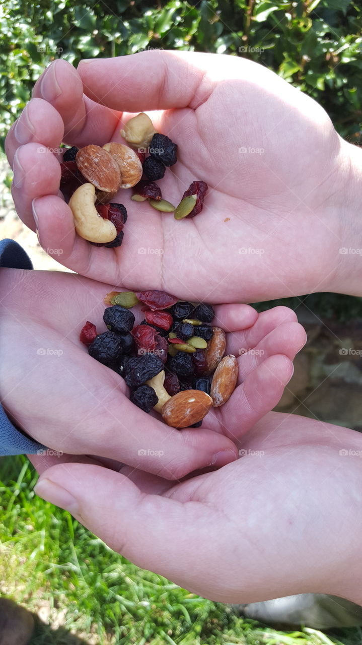 a very close up of sharing a snack of fruit, nuts and seeds