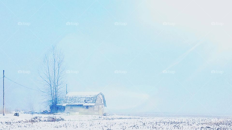 white barn in the fog