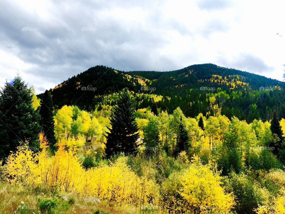 It's called Colorful Colorado for a reason ....