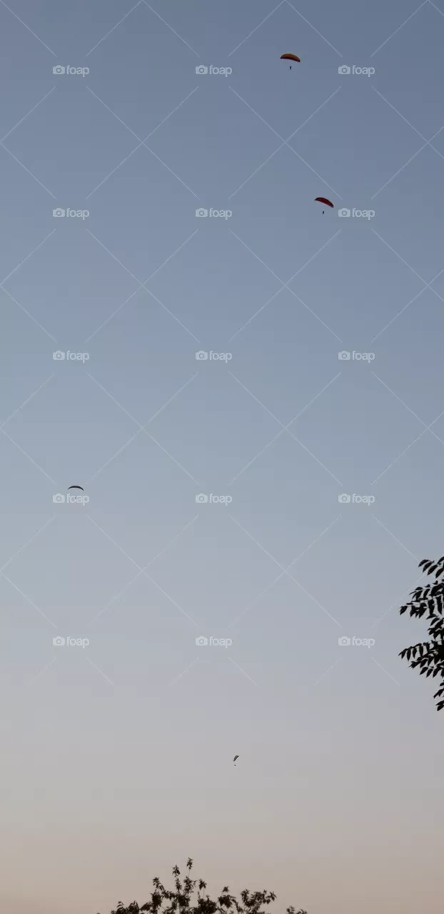 kite