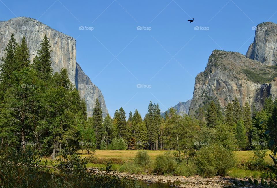 Yosemite Valley