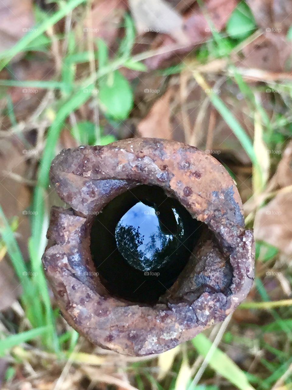What is it? Can you figure it out? A marble maybe? Or it could be just a hollow piece of metal filled with rain water...used for tossing horseshoes.