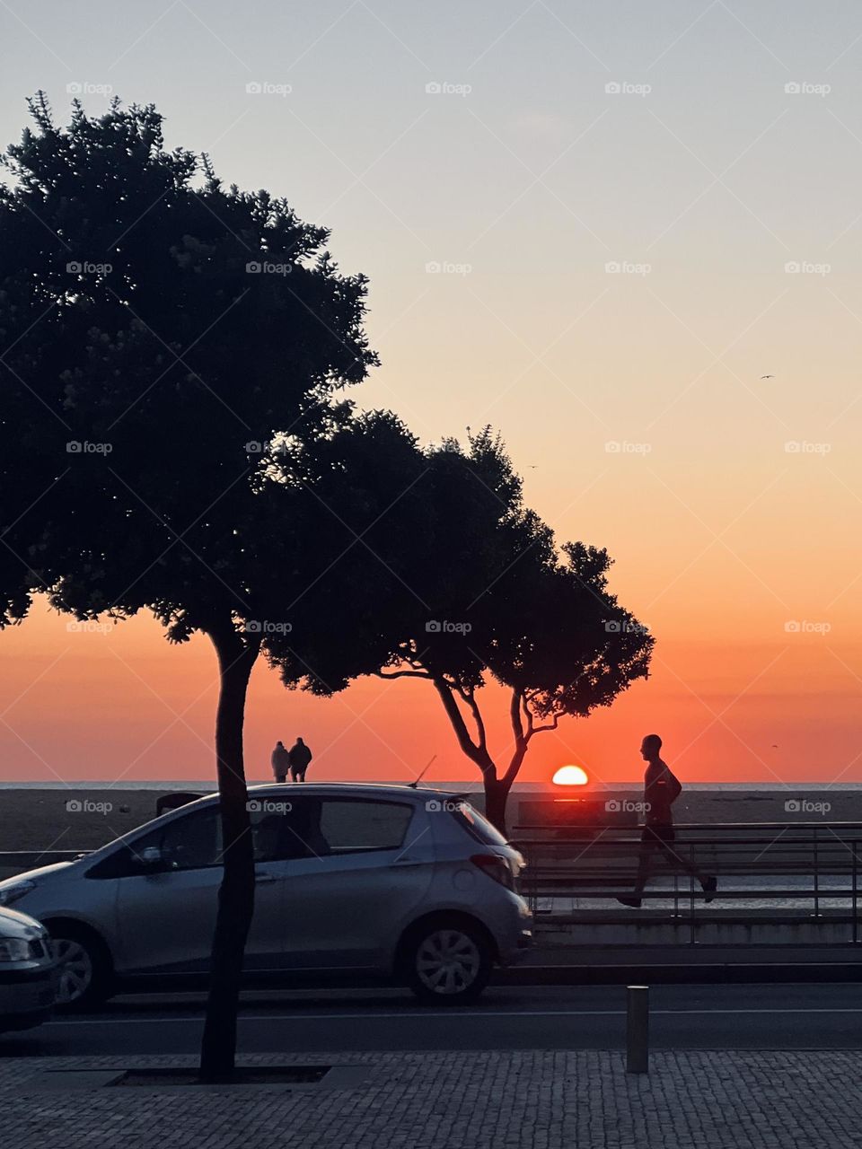 Tree and runner in the sunset