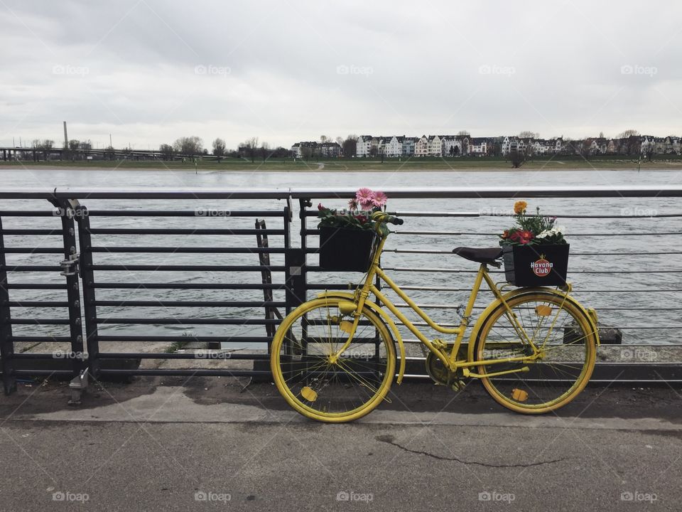 Bike along the Rhine River in Germany