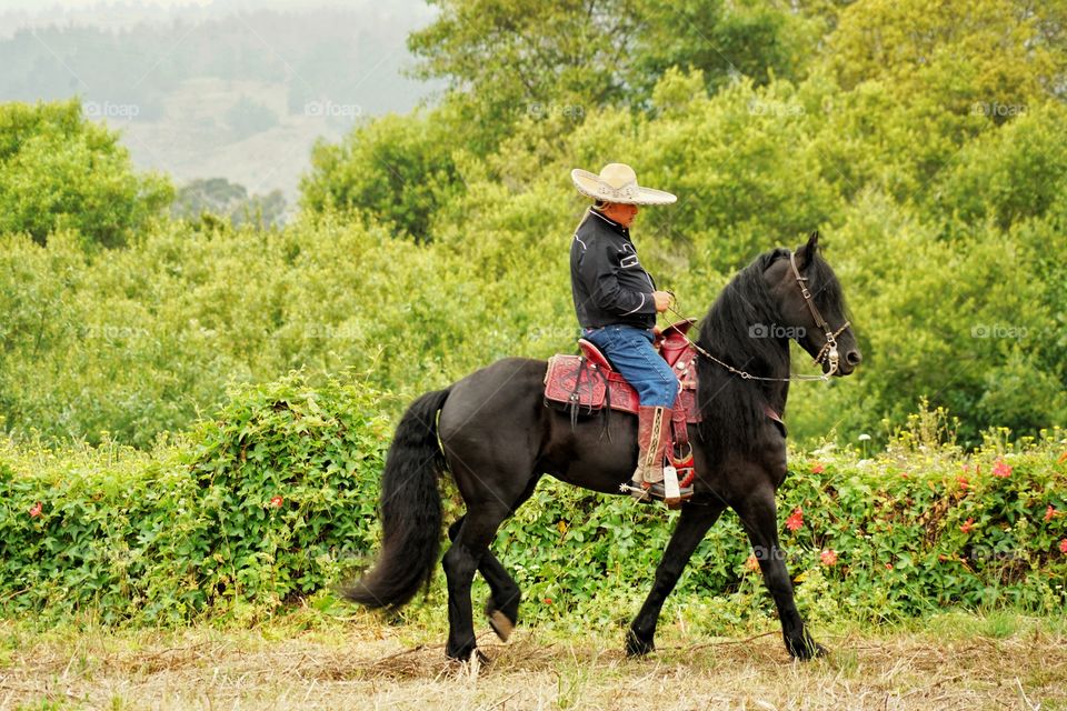 Lone Cowboy On Horseback