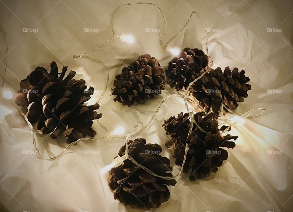 Beautiful pine cones with fairy lights surrounding it for an aesthetic view. 