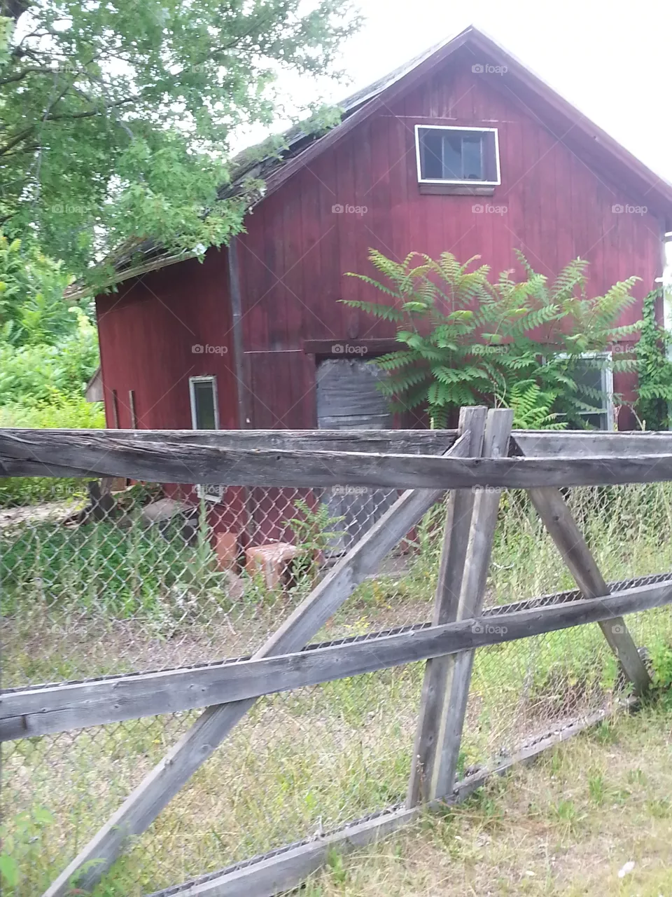 House, Wood, Fence, Grass, Wooden