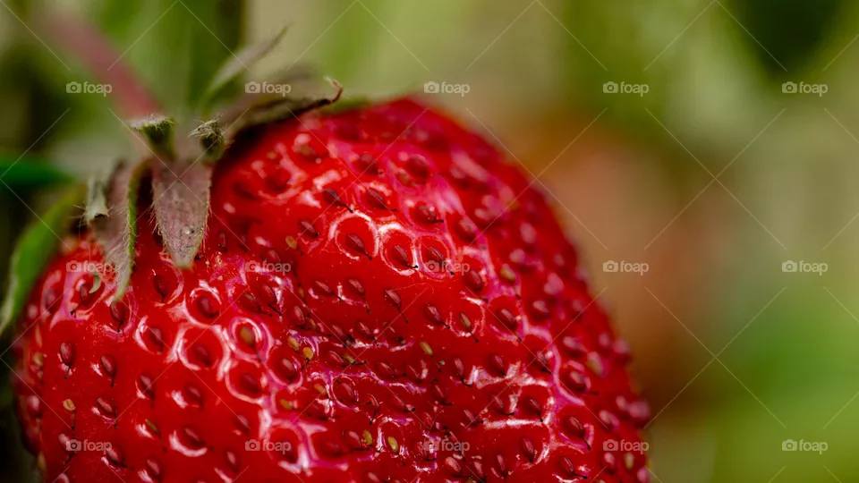 Strawberry 