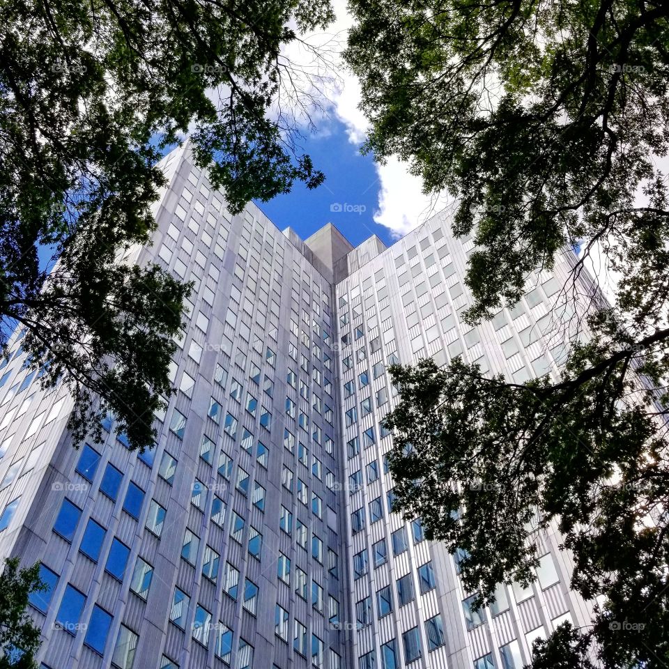 Tall metal skyscraper against a blue sky, seen from under a tree in downtown Pittsburgh, Pennsylvania