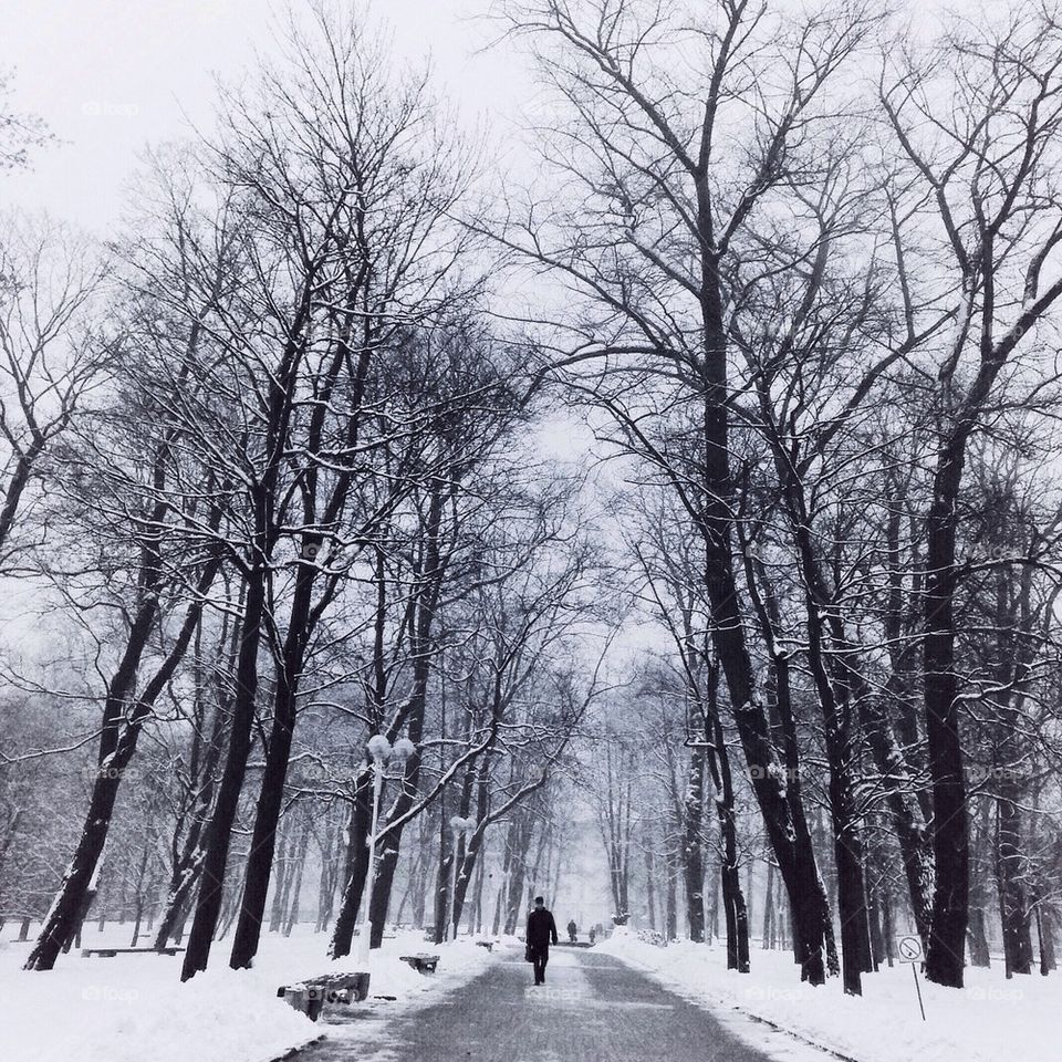 Winter road