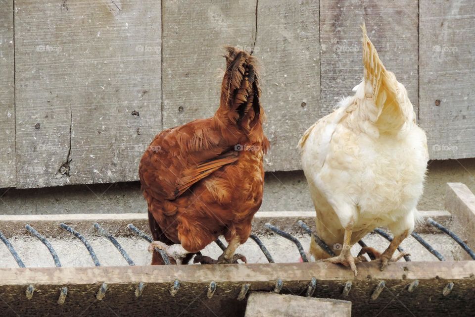 Harmoniously aligned