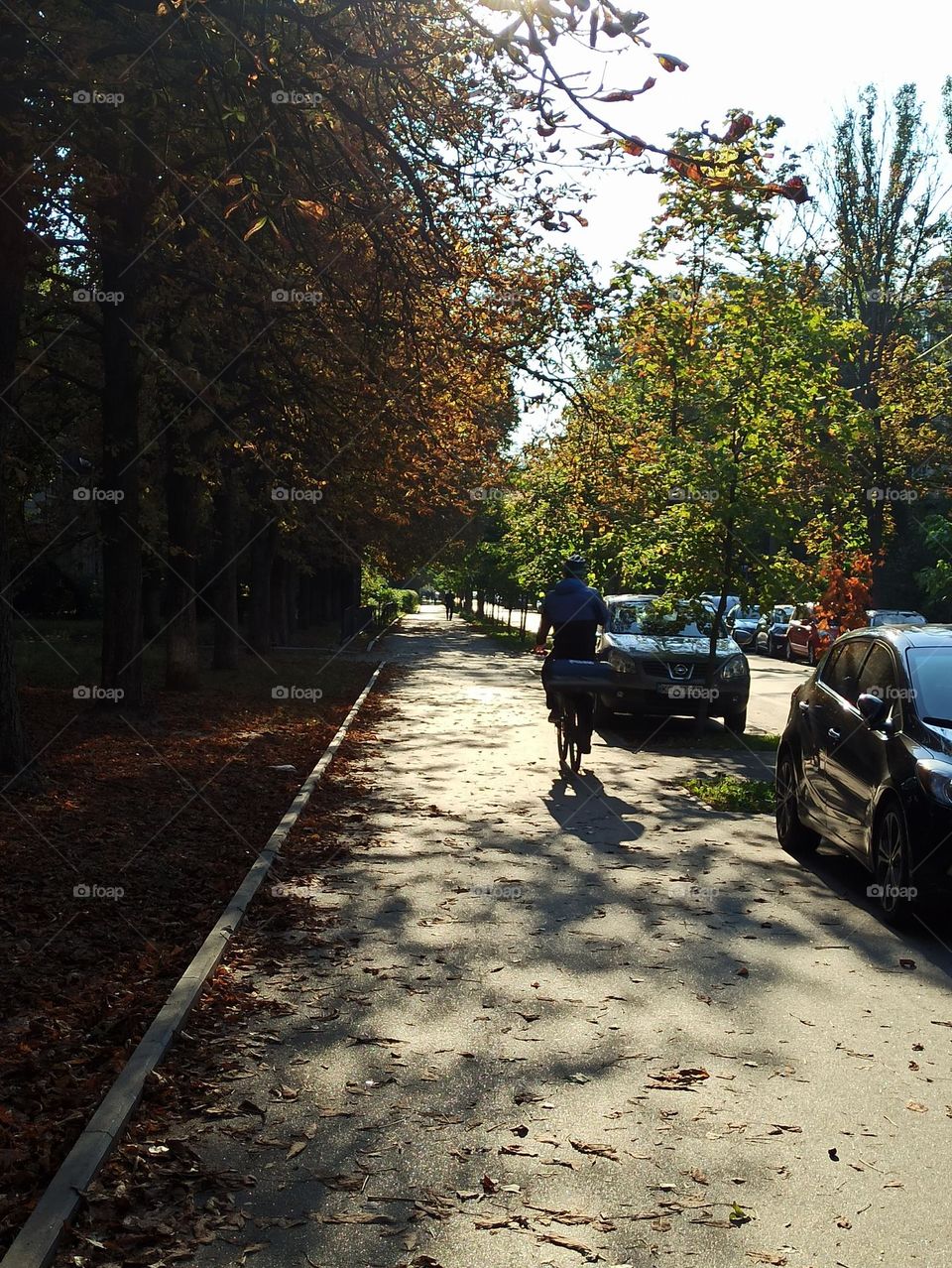 Sunny day. Street in sunlight. Cyclist. Beginning of autumn