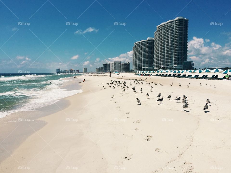 Orange Beach, Alabama