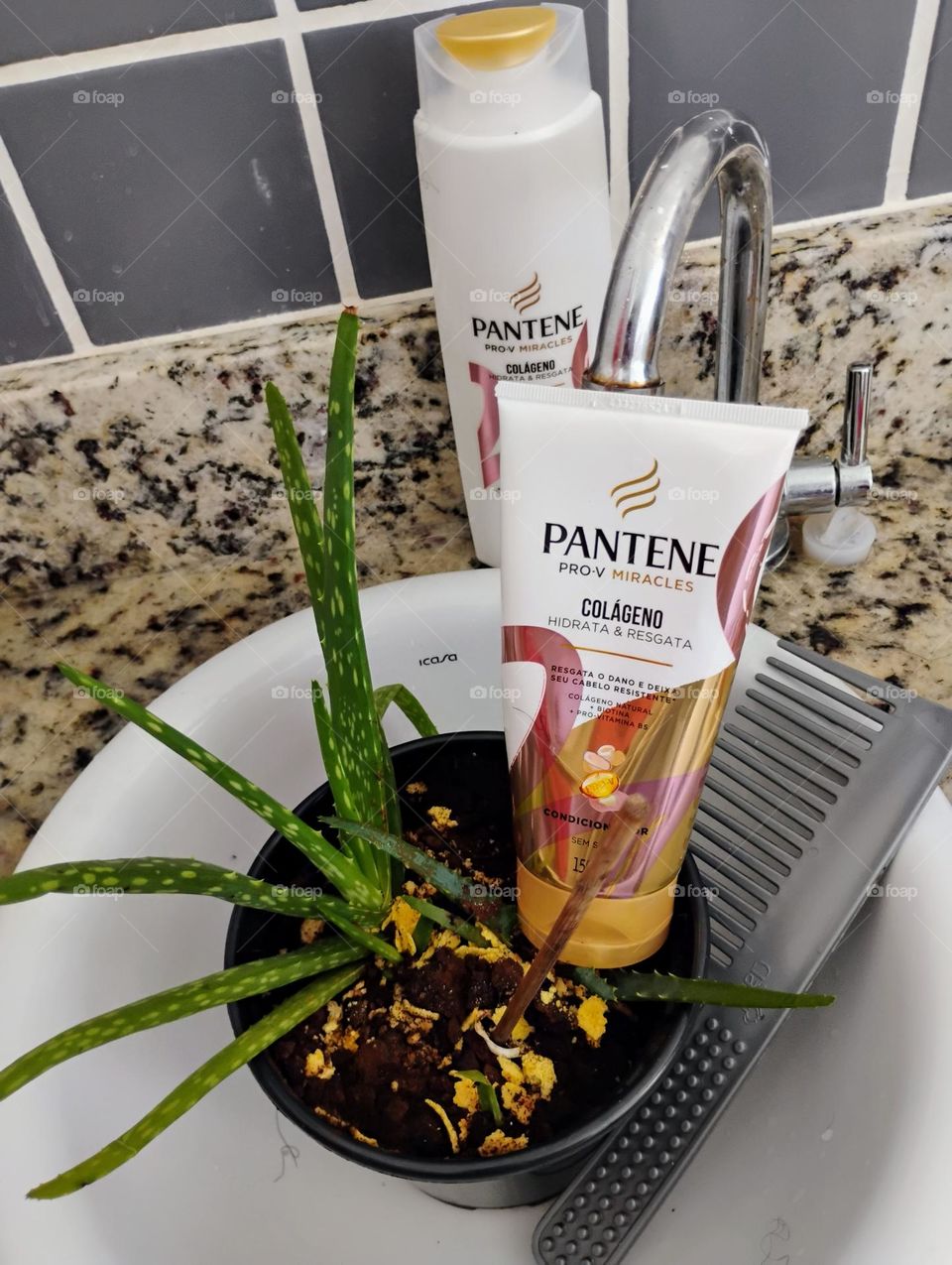 Cabelos ásperos, danificados e tratados quimicamente? PANTENE  PRO-V MIRACLES, HIDRATA & RESGATA, com colágeno natural, biotina e Pro-vitaminas B5, ajuda a repor os nutrientes essenciais nos fios tornando -os saudáveis, brilhantes e resistentes