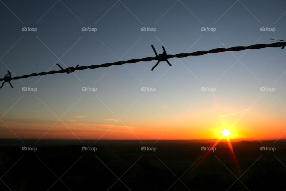 Barbed sunset 