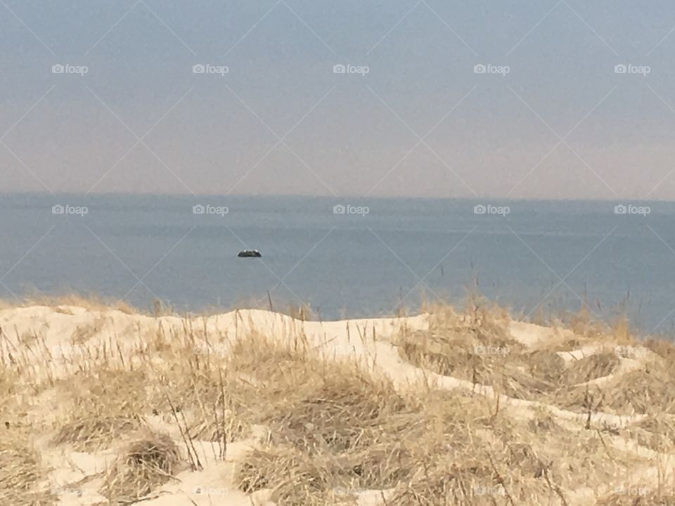 Foggy day on the beach with beautiful dunes.